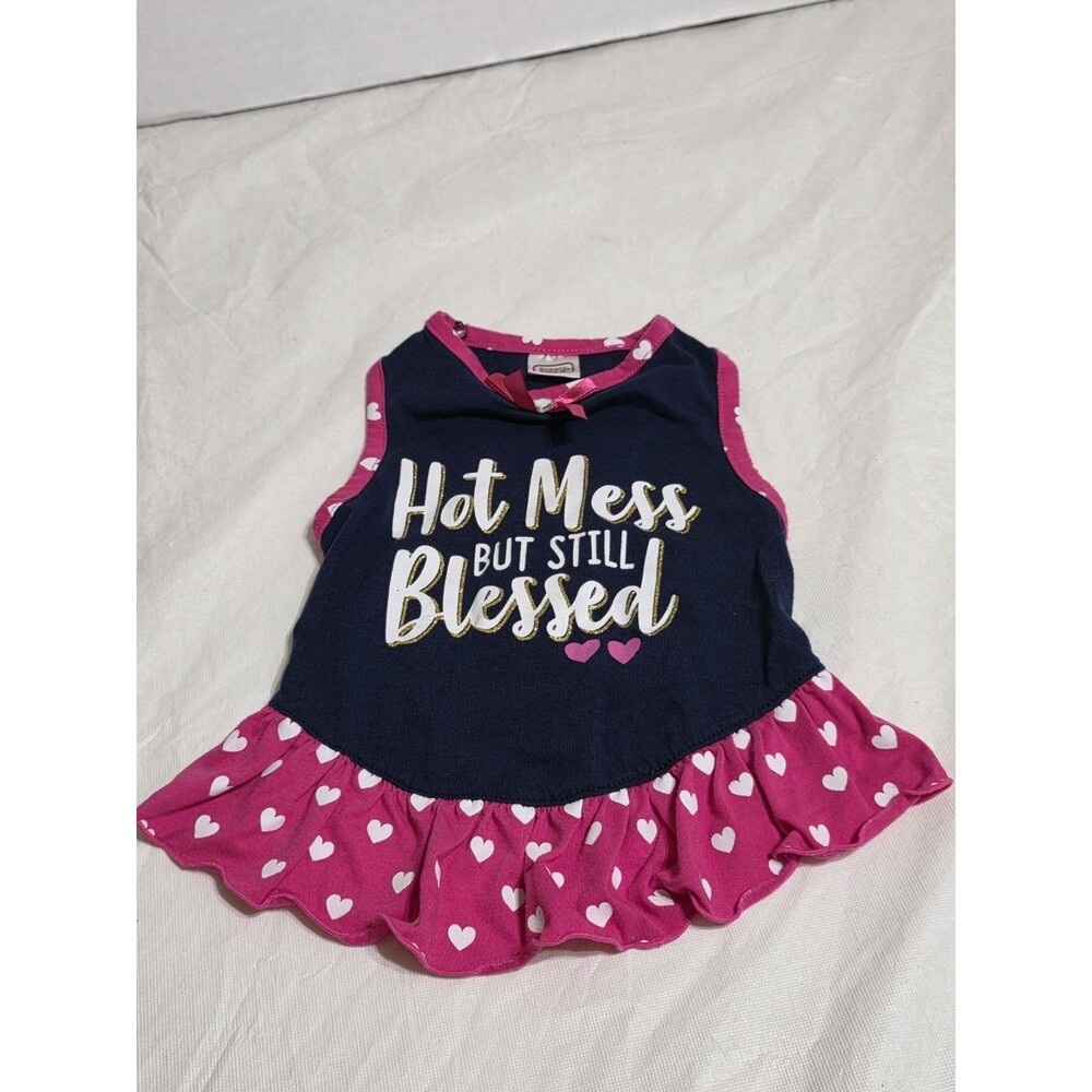 Simply Wag Hot Mess But Still Blessed Dog Dress Size Med